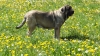 Filename=Jata.JPG
Filesize=659KiB
Dimensions=1920x1080
Date added=%665 %09, %2012 Jata.JPG