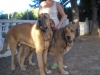 Filename=LOURDES_ARAGON_Y_DIANA.jpg
Filesize=85KiB
Dimensions=720x540
Date added=%811 %24, %2010 LOURDES_ARAGON_Y_DIANA.jpg