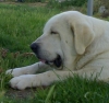 Filename=LUNA_2.jpg
Filesize=84KiB
Dimensions=728x690
Date added=%919 %15, %2009 LUNA_2.jpg