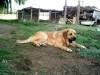 Filename=Linda_10_meses.JPG
Filesize=455KiB
Dimensions=1325x994
Date added=%399 %04, %2007 Linda_10_meses.JPG