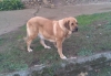 Filename=Linda~0.jpg
Filesize=203KiB
Dimensions=1005x700
Date added=%944 %09, %2009 Linda~0.jpg
