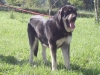 Filename=Lola,_16_meses.JPG
Filesize=139KiB
Dimensions=640x480
Date added=%887 %15, %2008 Lola,_16_meses.JPG