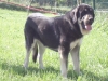 Filename=Lola.JPG
Filesize=148KiB
Dimensions=640x480
Date added=%887 %15, %2008 Lola.JPG