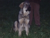 Filename=Lupe_de_Anaise(4_meses).JPG
Filesize=136KiB
Dimensions=640x480
Date added=%795 %16, %2008 Lupe_de_Anaise(4_meses).JPG