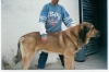 Filename=MIGUEL_Y_LEON_DE_VEGA_DE_ALVARES.jpg
Filesize=76KiB
Dimensions=912x608
Date added=%691 %10, %2007 MIGUEL_Y_LEON_DE_VEGA_DE_ALVARES.jpg