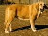 Filename=Maya05.JPG
Filesize=611KiB
Dimensions=960x712
Date added=%895 %07, %2008 Maya05.JPG
