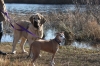 Filename=Natalia_and_Tatyana_Turkey_swamp_Park_12-22-11.JPG
Filesize=277KiB
Dimensions=1188x792
Date added=%914 %13, %2012 Natalia_and_Tatyana_Turkey_swamp_Park_12-22-11.JPG
