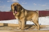 Filename=Neron11.jpg
Filesize=69KiB
Dimensions=587x391
Date added=%600 %06, %2009 Neron11.jpg