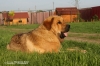 Filename=Neron2.jpg
Filesize=212KiB
Dimensions=631x421
Date added=%556 %22, %2007 Neron2.jpg