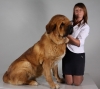 Filename=Neron_de_Filandon.jpg
Filesize=61KiB
Dimensions=510x458
Date added=%494 %13, %2010 Neron_de_Filandon.jpg