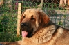 Filename=Neron_near_11_months.jpg
Filesize=143KiB
Dimensions=763x508
Date added=%623 %26, %2007 Neron_near_11_months.jpg