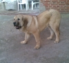 Filename=Nom.jpg
Filesize=120KiB
Dimensions=700x642
Date added=%700 %28, %2011 Nom.jpg