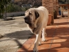 Filename=Ola~1.jpg
Filesize=137KiB
Dimensions=1024x768
Date added=%855 %11, %2010 Ola~1.jpg