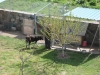 Filename=Padre_y_perrina_dando_de_comer_a_las_gallinas.jpg
Filesize=124KiB
Dimensions=798x599
Date added=%755 %08, %2008 Padre_y_perrina_dando_de_comer_a_las_gallinas.jpg