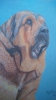 Filename=Pastel_en_papel_de_Apolo_de_Irelorma.jpg
Filesize=80KiB
Dimensions=540x960
Date added=%765 %10, %2015 Pastel_en_papel_de_Apolo_de_Irelorma.jpg