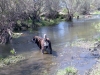 Filename=Perrina_en_el_agua_de_la_dehesa.jpg
Filesize=91KiB
Dimensions=640x480
Date added=%761 %08, %2008 Perrina_en_el_agua_de_la_dehesa.jpg