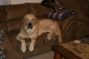 Filename=Q_____11_Months_Old_(24).JPG
Filesize=185KiB
Dimensions=1205x804
Date added=%157 %28, %2008 Q_____11_Months_Old_(24).JPG