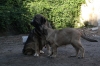Filename=Q~0.jpg
Filesize=160KiB
Dimensions=972x648
Date added=%877 %04, %2009 Q~0.jpg