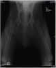 Filename=RX_Titan.jpg
Filesize=35KiB
Dimensions=789x960
Date added=%764 %29, %2015 RX_Titan.jpg