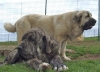 Filename=Remo_y_Olimpia.jpg
Filesize=418KiB
Dimensions=1001x728
Date added=%883 %22, %2010 Remo_y_Olimpia.jpg