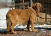 Filename=Ron_de_Babia.jpg
Filesize=172KiB
Dimensions=800x560
Date added=%424 %20, %2009 Ron_de_Babia.jpg