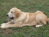 Filename=Rubio_1.JPG
Filesize=141KiB
Dimensions=640x480
Date added=%774 %14, %2008 Rubio_1.JPG