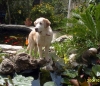 Filename=S1050450.JPG
Filesize=140KiB
Dimensions=480x417
Date added=%673 %16, %2012 S1050450.JPG