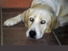 Filename=SAM_1042.JPG
Filesize=638KiB
Dimensions=1440x1080
Date added=%538 %21, %2011 SAM_1042.JPG