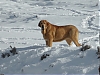 Filename=SAM_2429.JPG
Filesize=516KiB
Dimensions=1024x768
Date added=%945 %07, %2021 SAM_2429.JPG