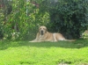 Filename=Sofie1.jpg
Filesize=249KiB
Dimensions=807x605
Date added=%397 %27, %2009 Sofie1.jpg