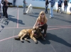Filename=Sveta_with_Bellis.JPG
Filesize=223KiB
Dimensions=827x620
Date added=%573 %10, %2009 Sveta_with_Bellis.JPG
