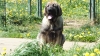 Filename=Tasco_1.JPG
Filesize=639KiB
Dimensions=1920x1080
Date added=%673 %09, %2012 Tasco_1.JPG