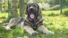 Filename=Tasko.JPG
Filesize=649KiB
Dimensions=1920x1080
Date added=%425 %25, %2012 Tasko.JPG
