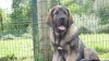 Filename=Tasko_1.JPG
Filesize=634KiB
Dimensions=1920x1080
Date added=%426 %25, %2012 Tasko_1.JPG