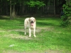 Tatyana_standing_in_yard_May_12_2012.JPG