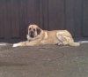Filename=Terry_28_-_03_-_2012_.jpg
Filesize=75KiB
Dimensions=753x656
Date added=%652 %30, %2012 Terry_28_-_03_-_2012_.jpg