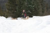 Filename=The_trouble_maker.jpg
Filesize=170KiB
Dimensions=1000x667
Date added=%258 %15, %2009 The_trouble_maker.jpg