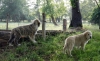 Filename=Tigre-Bimba2_jpg.jpg
Filesize=246KiB
Dimensions=1075x662
Date added=%892 %06, %2008 Tigre-Bimba2_jpg.jpg