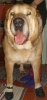 Filename=Tiko_5v_006.jpg
Filesize=146KiB
Dimensions=304x639
Date added=%673 %26, %2010 Tiko_5v_006.jpg