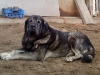 Filename=Torrente_de_Babia_6.jpg
Filesize=24KiB
Dimensions=320x240
Date added=%502 %22, %2012 Torrente_de_Babia_6.jpg
