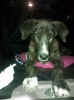 Filename=WP_000085.jpg
Filesize=97KiB
Dimensions=538x718
Date added=%942 %04, %2012 WP_000085.jpg