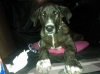 Filename=WP_000086.jpg
Filesize=90KiB
Dimensions=718x538
Date added=%942 %04, %2012 WP_000086.jpg