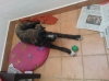 Filename=WP_000092.jpg
Filesize=81KiB
Dimensions=718x538
Date added=%942 %04, %2012 WP_000092.jpg