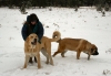 Filename=Wilkerson_Pass.jpg
Filesize=177KiB
Dimensions=1000x698
Date added=%300 %22, %2008 Wilkerson_Pass.jpg