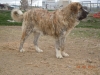 Filename=Xanto_3_29.jpg
Filesize=680KiB
Dimensions=2048x1536
Date added=%036 %29, %2011 Xanto_3_29.jpg