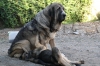 Filename=Z.jpg
Filesize=160KiB
Dimensions=972x648
Date added=%875 %04, %2009 Z.jpg
