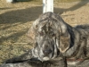 Filename=Zeleste_wrinkles.jpg
Filesize=227KiB
Dimensions=1024x768
Date added=%856 %05, %2011 Zeleste_wrinkles.jpg