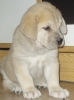Filename=a-Gia_7t.jpg
Filesize=154KiB
Dimensions=450x602
Date added=%392 %02, %2006 a-Gia_7t.jpg