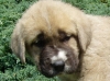 Filename=a-Hector_5t_2.jpg
Filesize=124KiB
Dimensions=450x337
Date added=%396 %02, %2006 a-Hector_5t_2.jpg