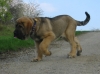 Filename=a-floyd_3,5m1.jpg
Filesize=86KiB
Dimensions=450x337
Date added=%410 %02, %2006 a-floyd_3,5m1.jpg